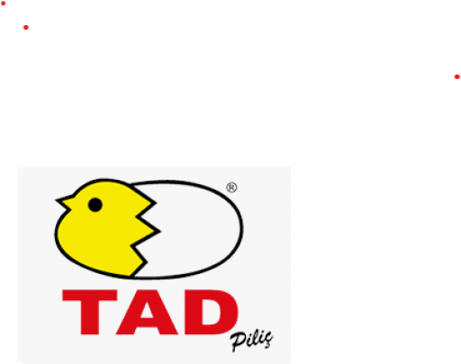 TAD PİLİÇ 